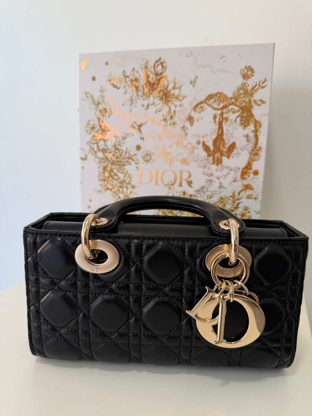 DIOR Lady D-Joy Bag