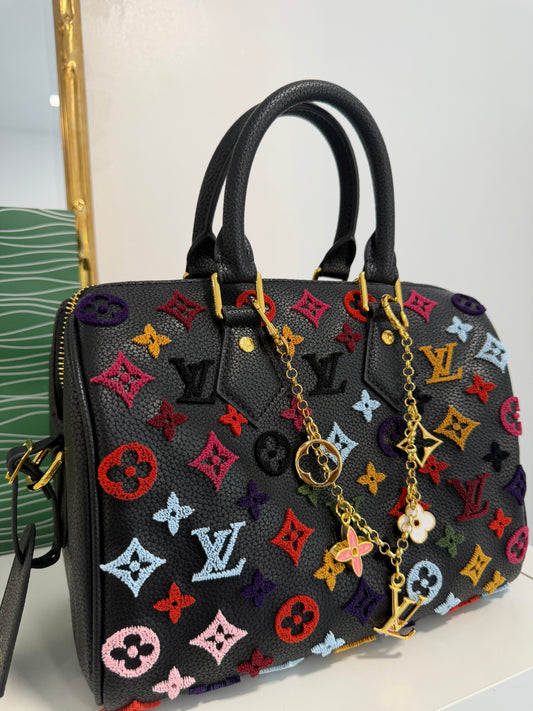 LOUIS VUITTON MULTI COLOR EMBROIDERED SPEEDY 30