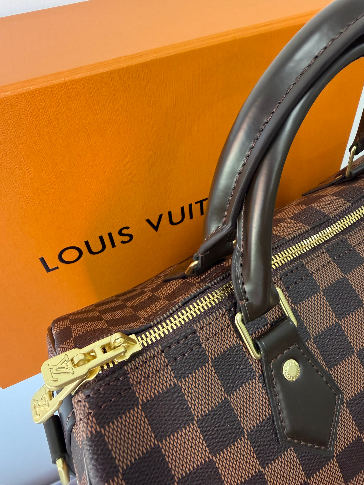 Louis Vuitton Speedy 30 (Damier Ebene)