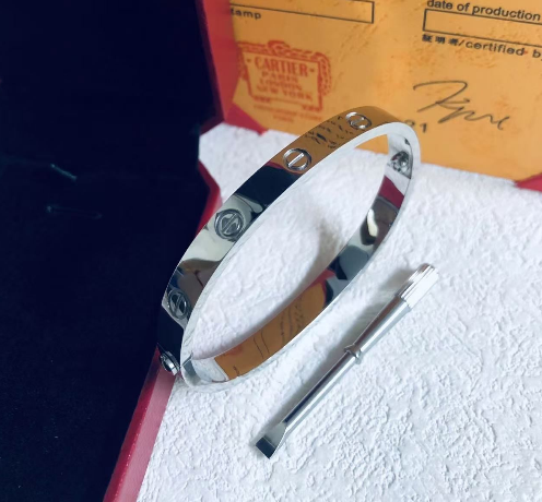 Cartier Bangle (Silver)