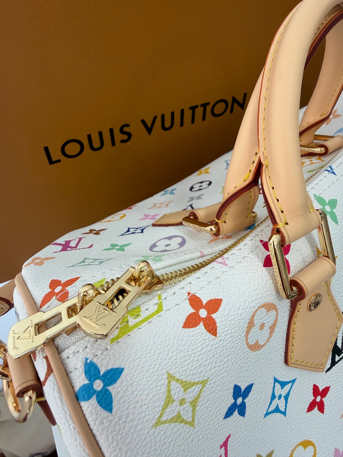 LOUIS VUITTON x TM Speedy Soft 30