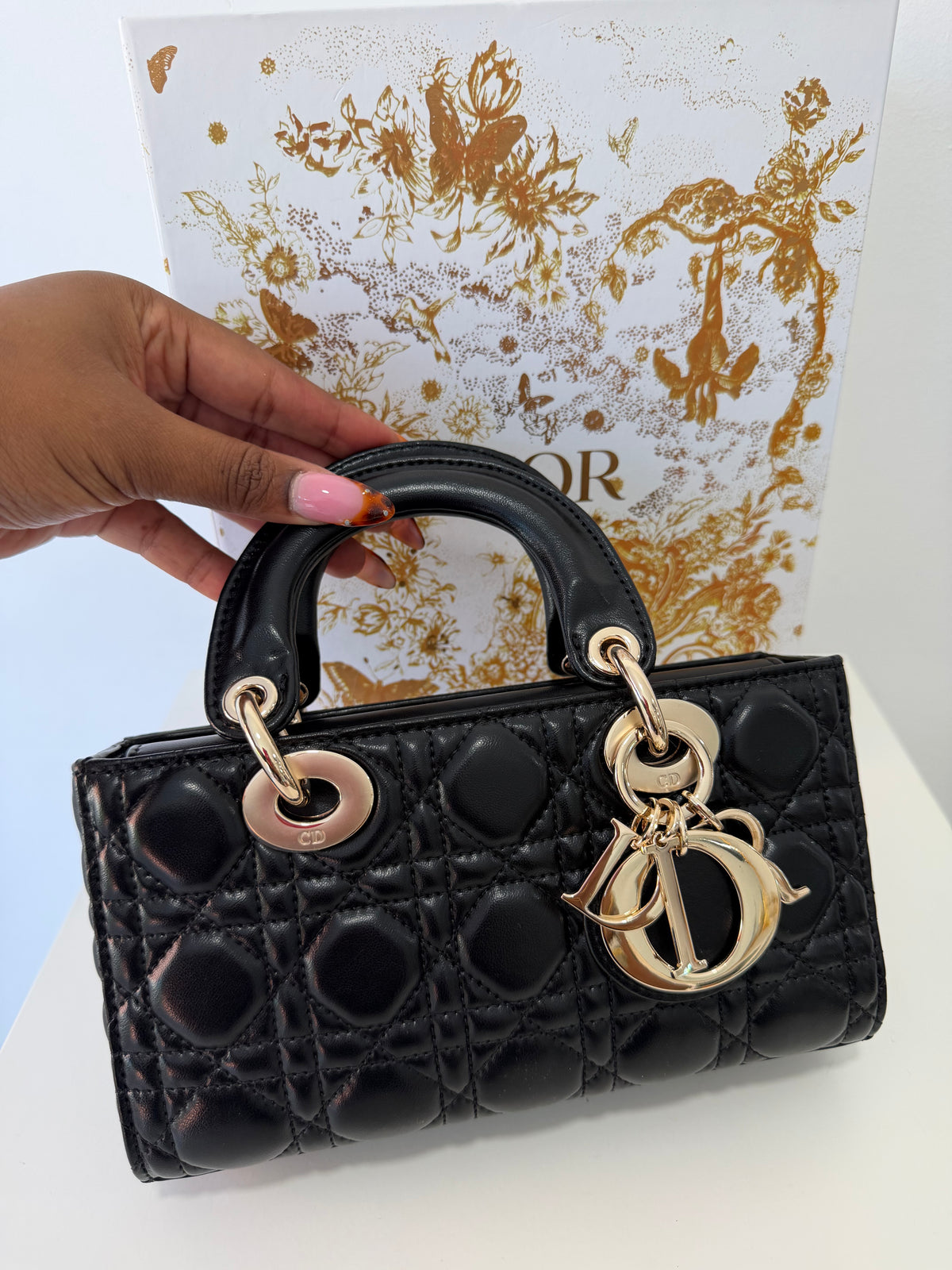 DIOR Lady D-Joy Bag